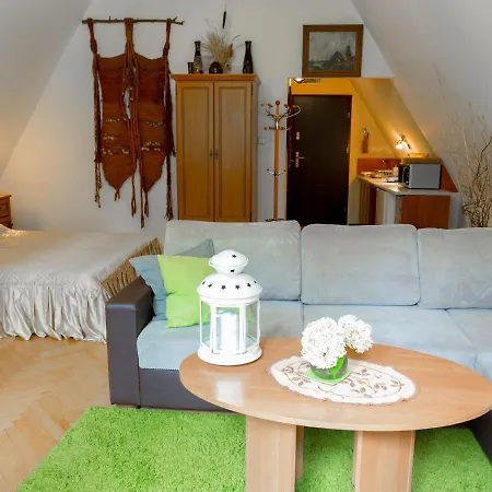 Apartment In Rusko With Garden